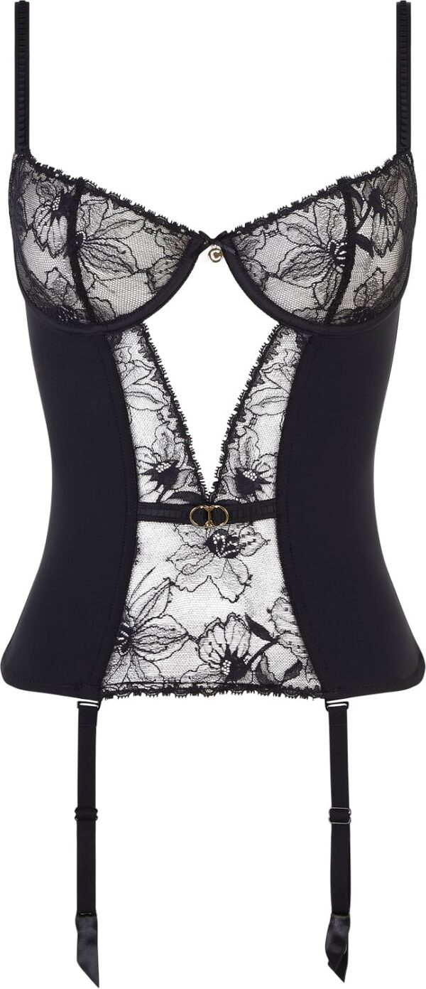 Orchids Basque